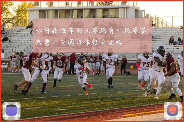 如何在温布利大球场看一场球赛：购票、交通与体验全攻略